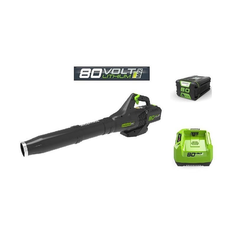 מפוח עלים מקצועי לגננים נטען GREENWORX סוללה 80V-מבצע כולל סוללה ומטען