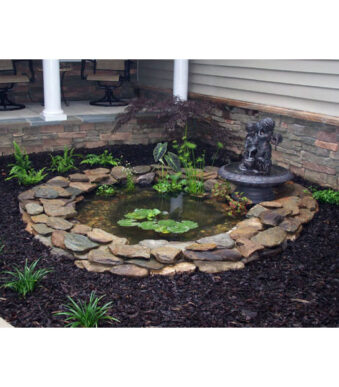 ערכה מושלמת לבריכת דגים ונוי 120 ליטר