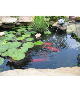 ערכה מושלמת להקמת בריכת נוי 750 ליטר