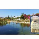 קוטל אצות וירוקת ביולוגי 10 קו"ב אלגן קילר premiumcare ALGENKILLER